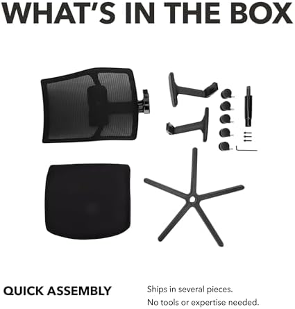HON Ignition 2.0 Ergonomic Office Chair, Lumbar Support, Quicksand