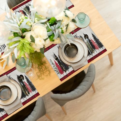 Placemats Set of 4 Washable Linen Place Mats Cloth Table Mats 12x18 Inch
