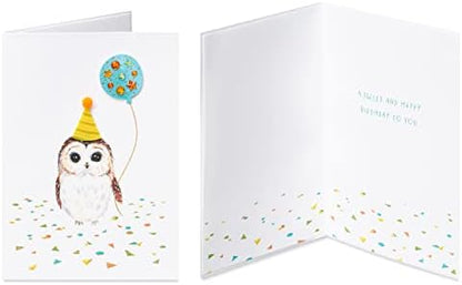 Papyrus Deluxe Boxed Birthday Card Assortment, Bright Birthday (4-Count)