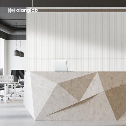Olanglab Acoustic Wall Panels, 10 Pack, 48" x 24", White
