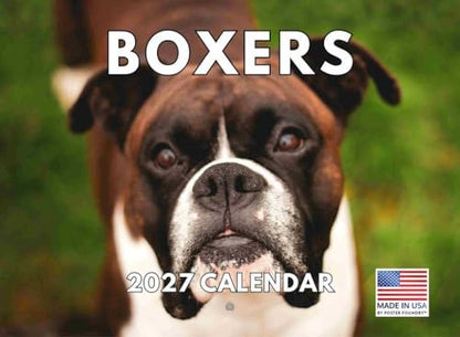 Boxer Calendar 2027 Monthly Wall Calender 12 Month