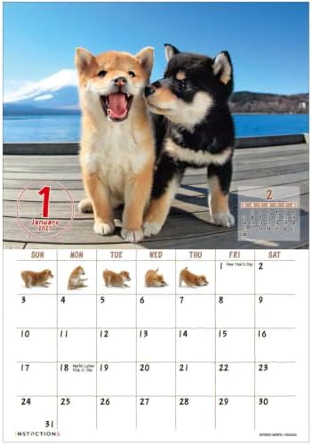 Shiba Inu Desktop Calendar 2027, Cute Dog & Puppy Photos, Japanese Scenery