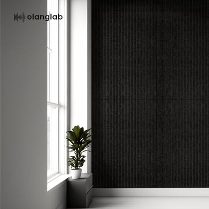 Olanglab Acoustic Wall Panels, 10 Pack, 48" x 24", Black