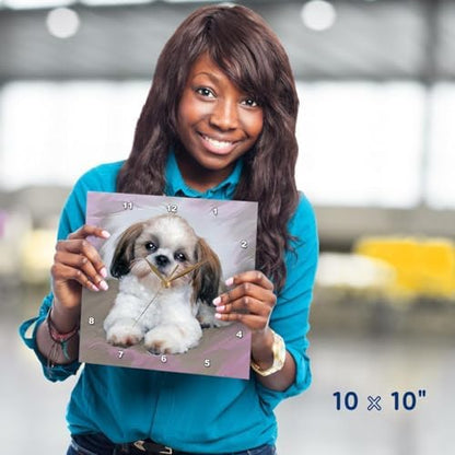 3dRose Wall Clock Silent - 13 inch - Shih Tzu Puppy - Dogs Shihtzu