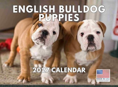 English Bulldog Puppy Calendar 2027 Monthly Wall Calender 12 Month