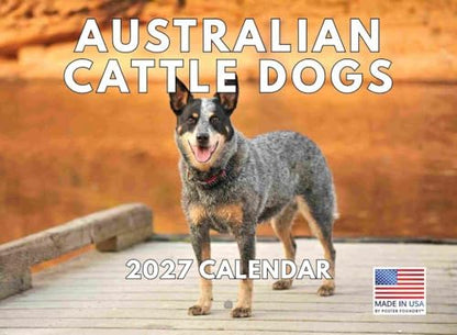 Australian Cattle Dog Calendar 2027 Monthly Wall Calender 12 Month