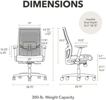 HON Ignition 2.0 ReActiv Ergonomic Office Chair, Lumbar Support, Steel
