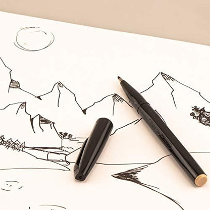 Pentel Arts Sign Pen Fiber-Tipped Pen, Sky Blue Ink, Box of 12 (S520-S)