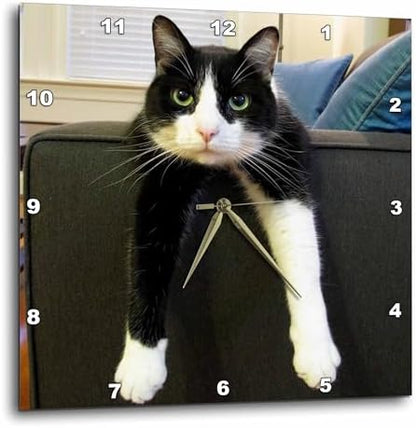 3dRose dpp_23450_3 Black and White Cat with Nothing To-Do Wall Clock, 15 by 15-Inch