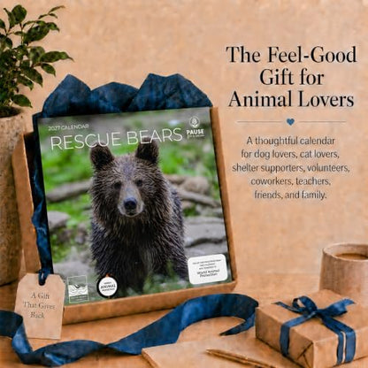 2027 Rescue Bear Wall Calendar, 12 x 24 Hanging Pacific Waters Press