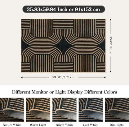 Lahome Modern Black Rug for Bedroom Living Room, 3x5 Outdoor Entryway Rug