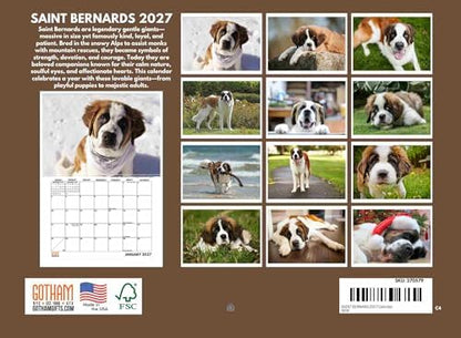 Saint Bernard Calendar 2027 Monthly Wall Calender 12 Month