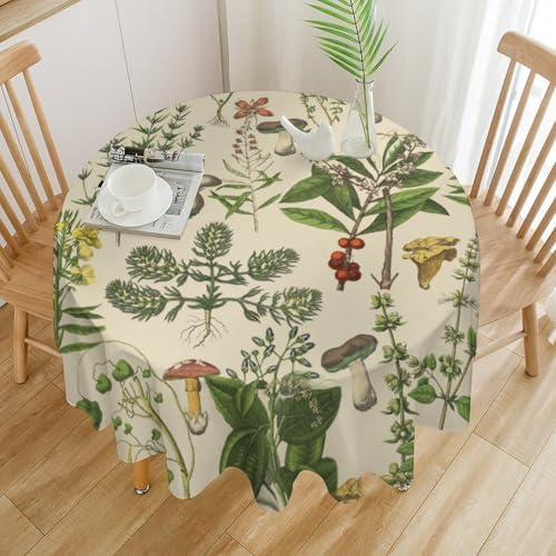 Vintage Botanical Tablecloth, Antique 1900s Mushroom Boho Wildflower Green Herbs Ferns Farmhouse Table Cover for Party Picnic Dinner Decor, 50x50in