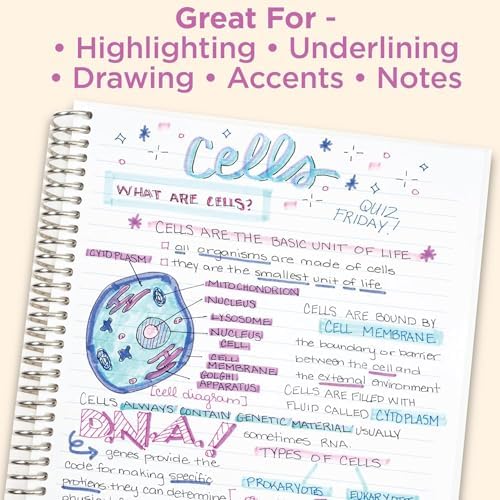 Zebra Pen MILDLINER No Bleed Highlighter, Rainforest, Dual Tip, 10-Pack