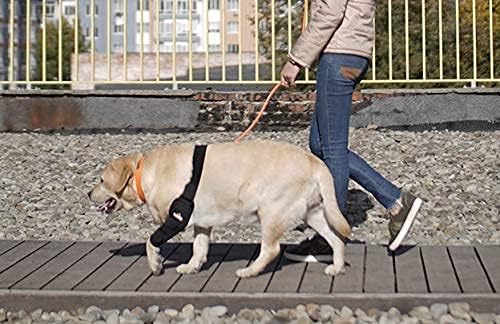 Dog Elbow Brace Protector Pads for Canine Elbow and Shoulder Support Elbow Hygroma, Dysplasia, Osteoarthritis, Elbow Calluses, Pressure Sores and Shoulder Dislocation (Left Leg, Extra Large)