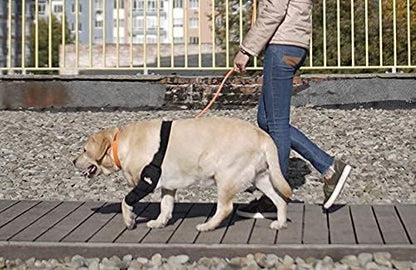 Dog Elbow Brace Protector Pads for Canine Elbow and Shoulder Support Elbow Hygroma, Dysplasia, Osteoarthritis, Elbow Calluses, Pressure Sores and Shoulder Dislocation (Left Leg, Extra Large)