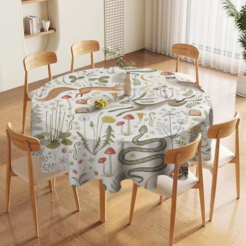Country Forest Tablecloth, Wild Animal Hare Squirrel Owl Snake Snail Flowers Mushroom Table Cover for Tea Party Weddings Indoor Outdoor Dining, 50x50in