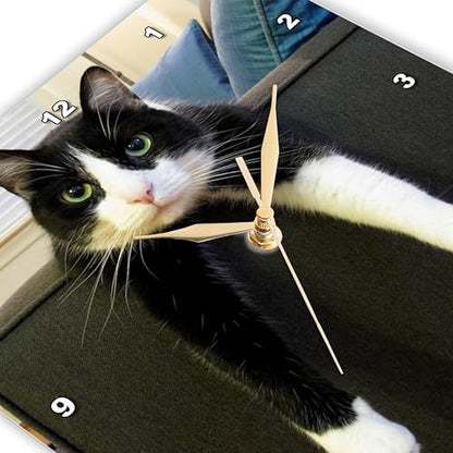 3dRose dpp_23450_2 Black and White Cat with Nothing To-Do Wall Clock, 13 by 13-Inch