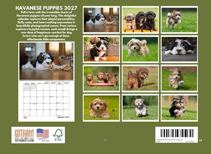 Havanese Puppy Calendar 2027 Monthly Wall Calender 12 Month