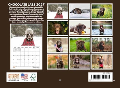 Chocolate Lab Calendar 2027 Labrador Retriever Monthly Wall Calender 12 Month