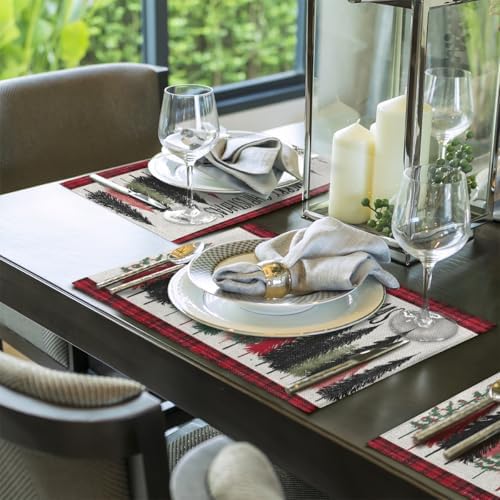 Placemats Set of 4 Washable Linen Place Mats Cloth Table Mats 12x18 Inch