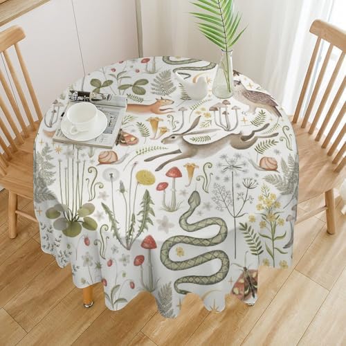 Country Forest Tablecloth, Wild Animal Hare Squirrel Owl Snake Snail Flowers Mushroom Table Cover for Tea Party Weddings Indoor Outdoor Dining, 50x50in