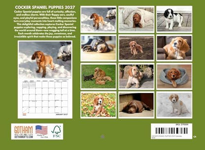 Cocker Spaniel Puppies Calendar 2027 Monthly Wall Calender