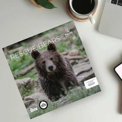 2027 Rescue Bear Wall Calendar, 12 x 24 Hanging Pacific Waters Press