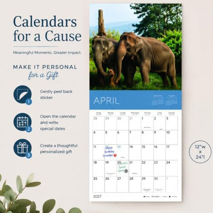 2027 Rescue Bear Wall Calendar, 12 x 24 Hanging Pacific Waters Press