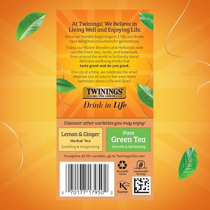 Twinings Orange & Cinnamon Spice Herbal Tea Individually Wrapped Bags, 20 Count (Pack of 2), Naturally Caffeine-Free, Enjoy Hot or Iced, 20 Teabags