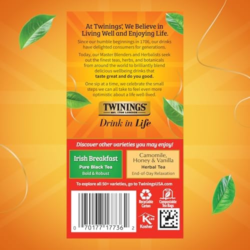 Twinings Extra Strong English Breakfast Black Tea Bags, 20 CT Box (6 Pack)
