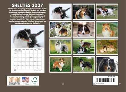 Sheltie Calendar 2027 Shetland Sheepdogs Monthly Wall Calender 12 Month