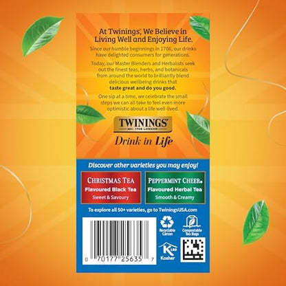 Twinings Winter Spice Herbal Tea Individually Wrapped, 20 Count (Pack of 1), Camomile, Apple, Cinnamon, & Clove, Naturally Caffeine-Free, Enjoy Hot or Iced, 20 Teabags