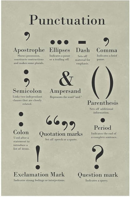Laminated Punctuation Poster Grammar Writing English Classroom Posters Depth Knowledge Literary Terms Library Class Decorations High School Teacher Home Chart Dry Erase Wall Art 24x36