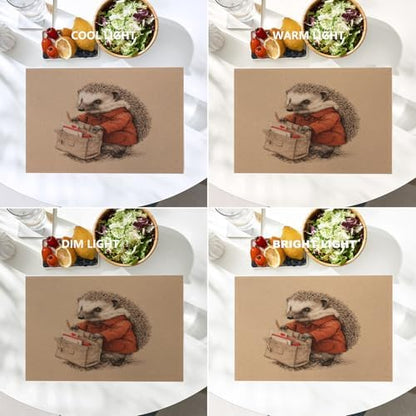 Batmerry Hedgehog Delivery Mail Linen Placemats Set of 4, Cute with Bag Washable Table Mats for Kitchen Table Thickened Heat Insulation Dining Set Indoor Outdoor 12X18 in