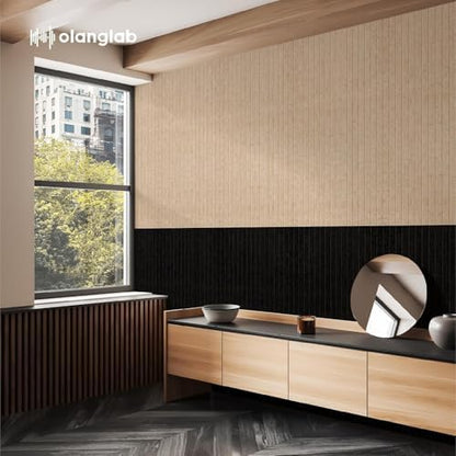 Olanglab Acoustic Wall Panels, 10 Pack, 48" x 24", Black