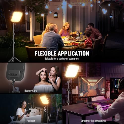 NEEWER BASICS15W 10.8" LED Video Light Panel Lighting Kit with 63" Tripod Stand/Phone Holder,Edge Lit Bi Color Dimmable Full Screen Light 816lux CRI95+ for Photography Filming Recording Streaming,L220