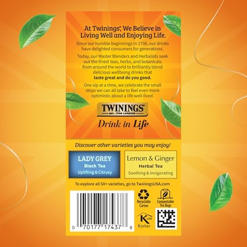 Twinings Earl Grey Extra Strong Black Tea Individually Wrapped Bags, 20 Count (Pack of 6), Flavoured with Citrus and Bergamot, Caffeinated, Enjoy Hot or Iced, 120 Teabags