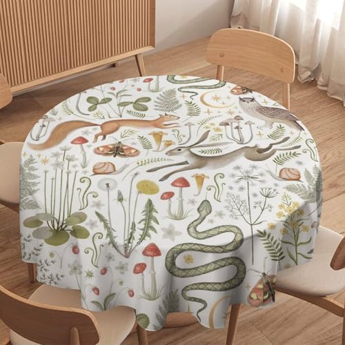 Country Forest Tablecloth, Wild Animal Hare Squirrel Owl Snake Snail Flowers Mushroom Table Cover for Tea Party Weddings Indoor Outdoor Dining, 36x36in