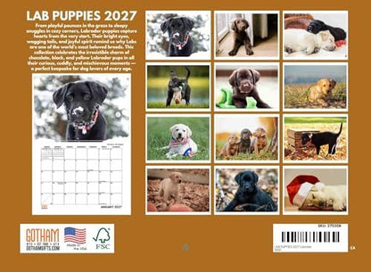 Poster Foundry Lab Puppy Calendar 2027 Labrador Puppies Monthly Wall Calender 12 Month | American Made In The USA