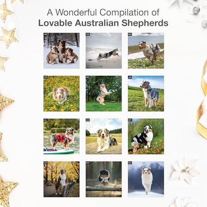 RED EMBER Australian Shepherds Aussies 2026 Wall Calendar 12 Month | 12" x 24" Open | Thick & Sturdy Paper | Giftable | Cute Puppy Dog Calendar 2026