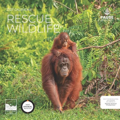 2027 Rescue Wildlife Wall Calendar, 12 x 24 Hanging Pacific Waters Press