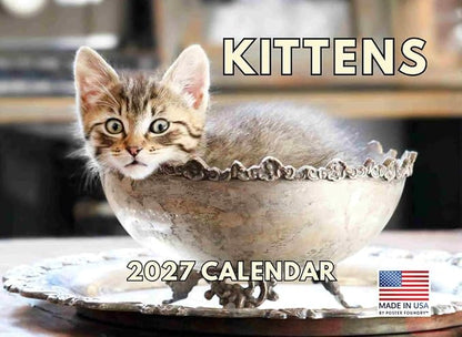 Kitten Calendar 2027 Cat Kitty Gifts Monthly Wall Calender 12 Month