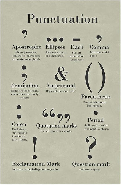 Punctuation Poster Grammar Writing English Classroom Posters Depth Knowledge Literary Terms Library Class Decorations High School Teacher Home Chart Cool Wall Art Print 12x18