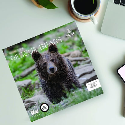 2027 Rescue Bear Wall Calendar, 12 x 24 Hanging Pacific Waters Press
