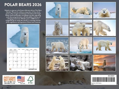 Polar Bear Calendar 2026 Monthly Wall Calender 12 Month | American Made In The USA