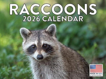Raccoon Calendar 2026 Wall 12 Month Raccoons Gifts For Racoon Lovers Women Men Monthly Calender | American Made In The USA