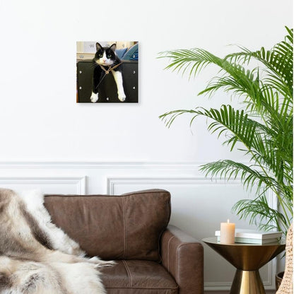 3dRose dpp_23450_3 Black and White Cat with Nothing To-Do Wall Clock, 15 by 15-Inch