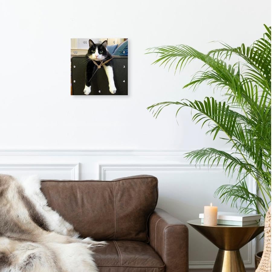 3dRose dpp_23450_2 Black and White Cat with Nothing To-Do Wall Clock, 13 by 13-Inch