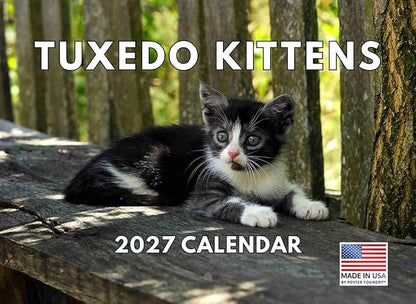 Tuxedo Kitten Calendar 2027 Monthly Wall Calender 12 Month